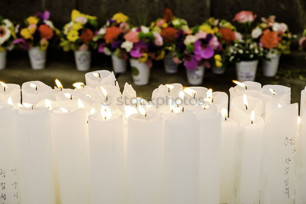 Similar – Image, Stock Photo Mourning at the Brandenburg Gate