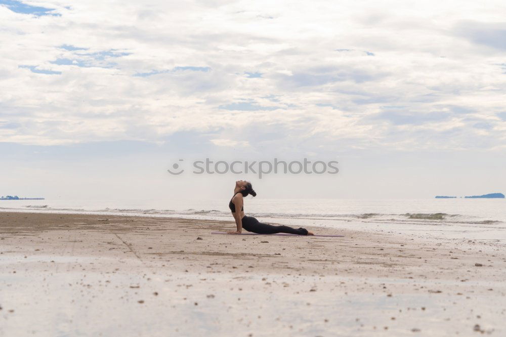 Similar – Image, Stock Photo Young and brunette woman with her little dog on the beach