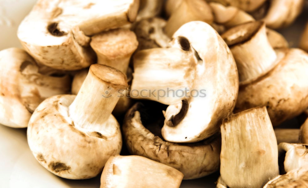 Similar – Image, Stock Photo mushroom loon Food