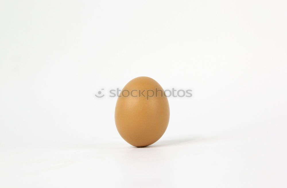 Foto Bild Ei des Kolumbus