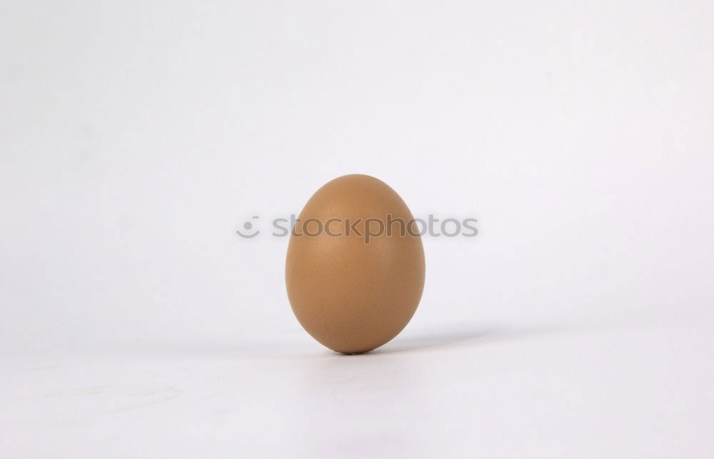 Similar – Foto Bild Ei des Kolumbus