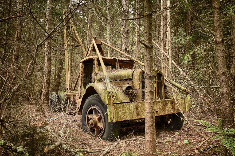 Similar – Image, Stock Photo Car cemetery 1 Environment