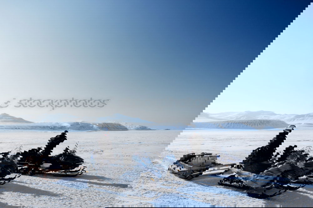 Similar – Image, Stock Photo Young men loading=