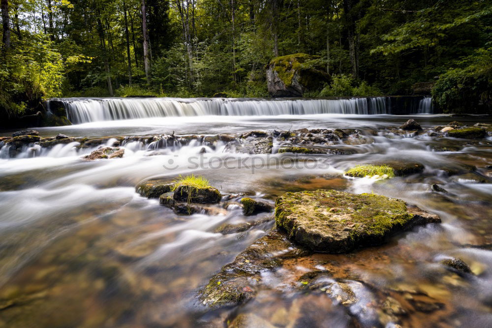 Similar – Black Forest brook