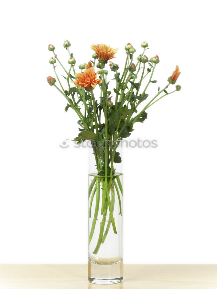 Similar – Image, Stock Photo wildflower bouquet Style