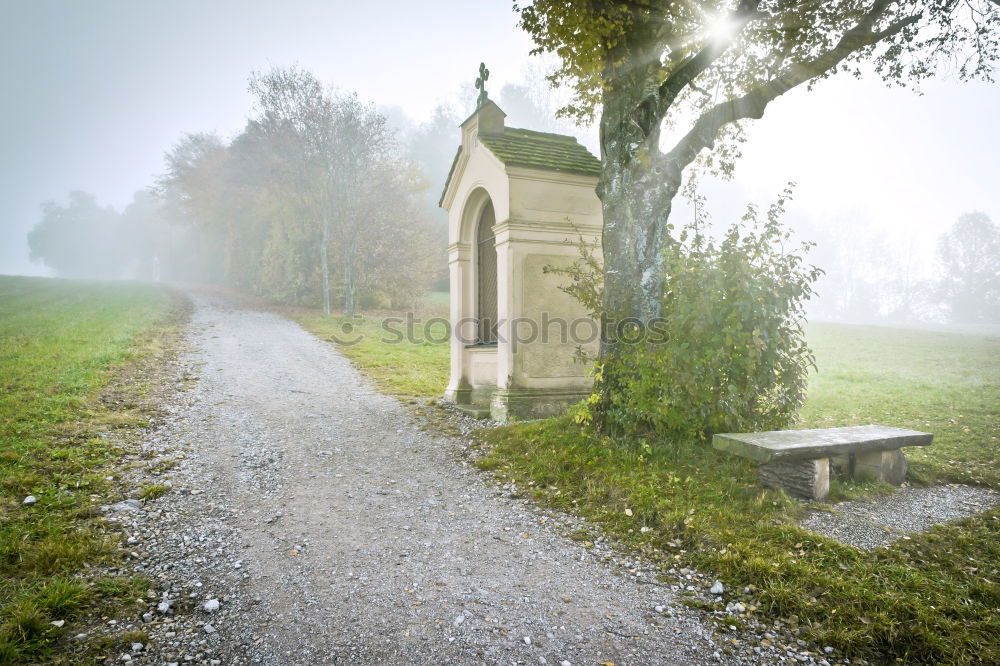 Similar – Muddy ground after rain in Carpathian mountains. Extreme path