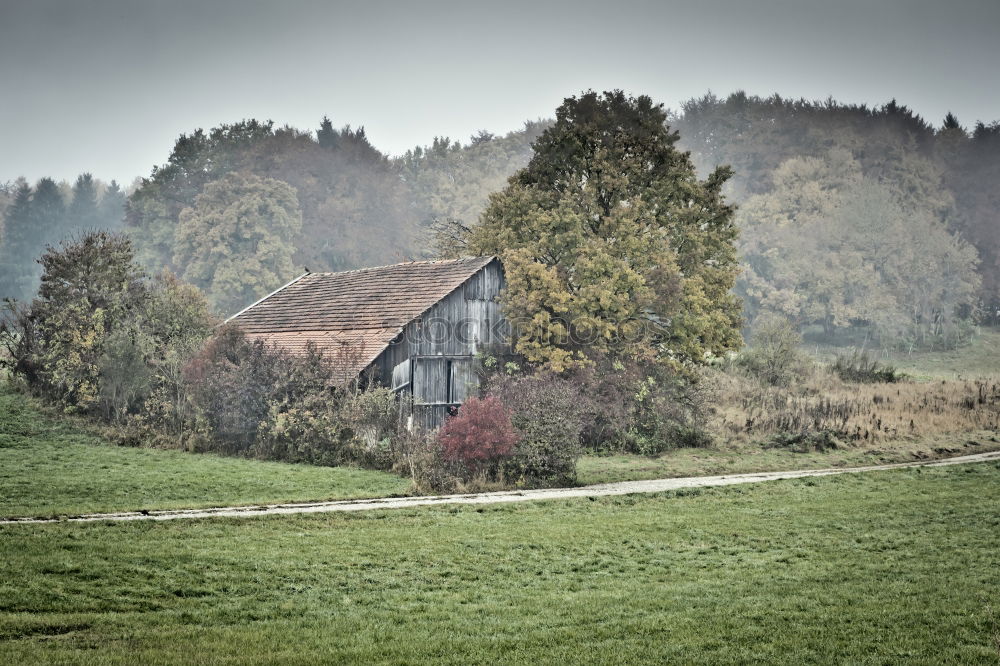 Similar – unsere kleine farm Natur