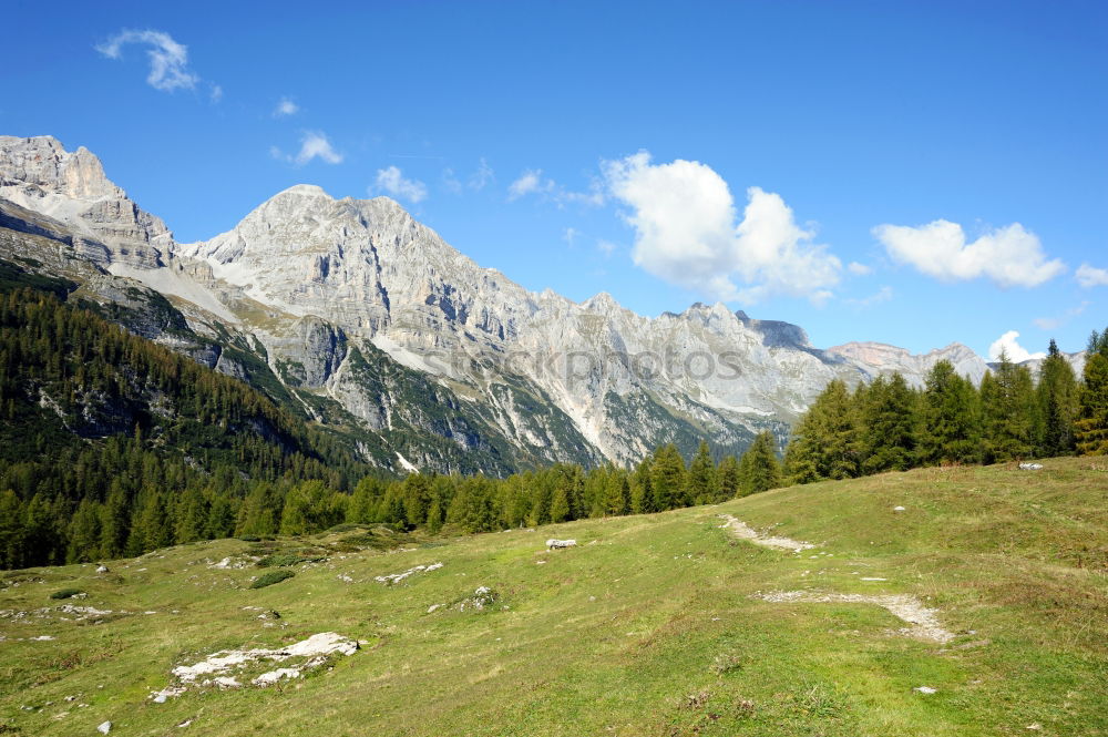 Similar – Seiser Alm harmonisch