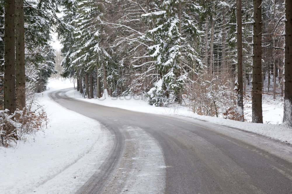 Similar – Image, Stock Photo Road in forest in snow