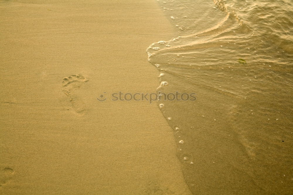 Similar – ready Surfing Beach Man