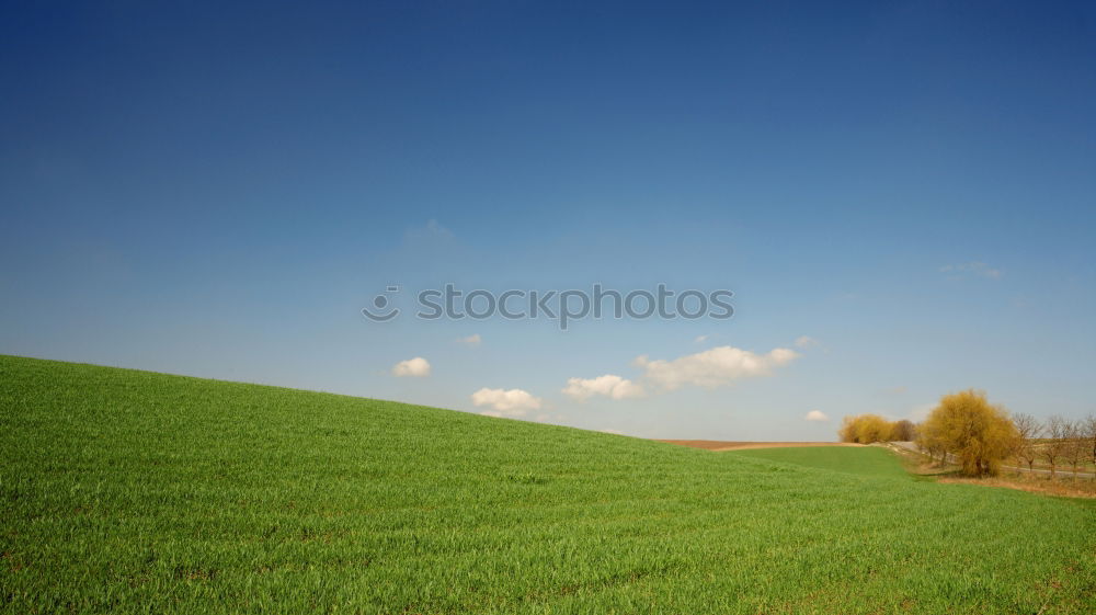 Similar – Image, Stock Photo voltage Field Electricity