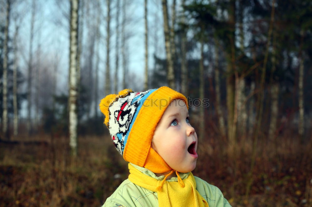 Similar – Children hands hold a yellow maple leaf