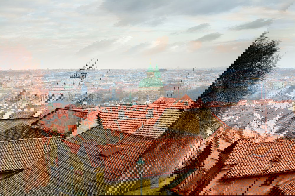 Similar – Image, Stock Photo Berlin