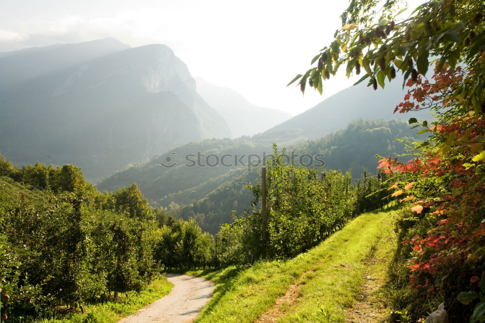 Similar – Mountain panorama in South Tyrol