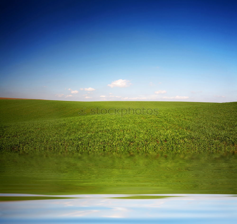 Image, Stock Photo Westerhever / North Sea coast