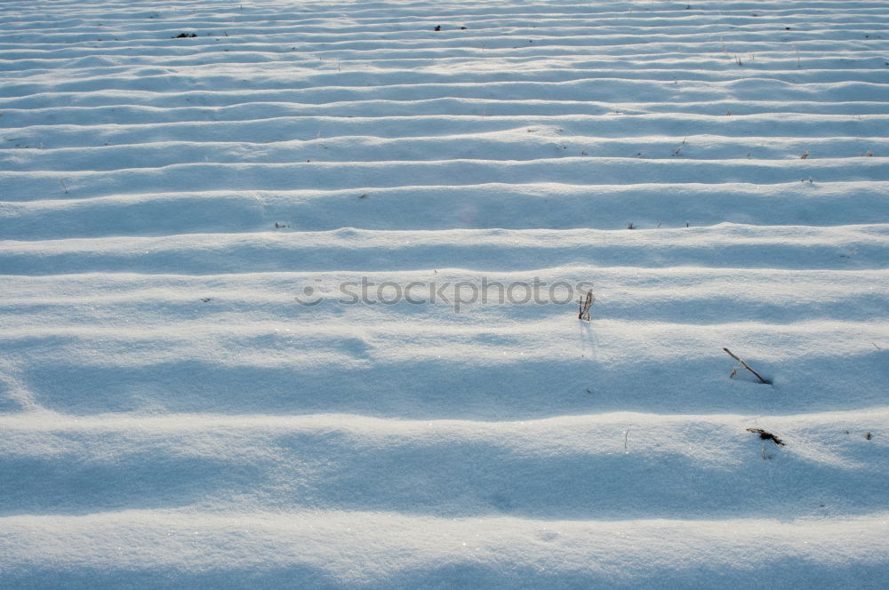 Similar – Image, Stock Photo Out In The Cold Snow