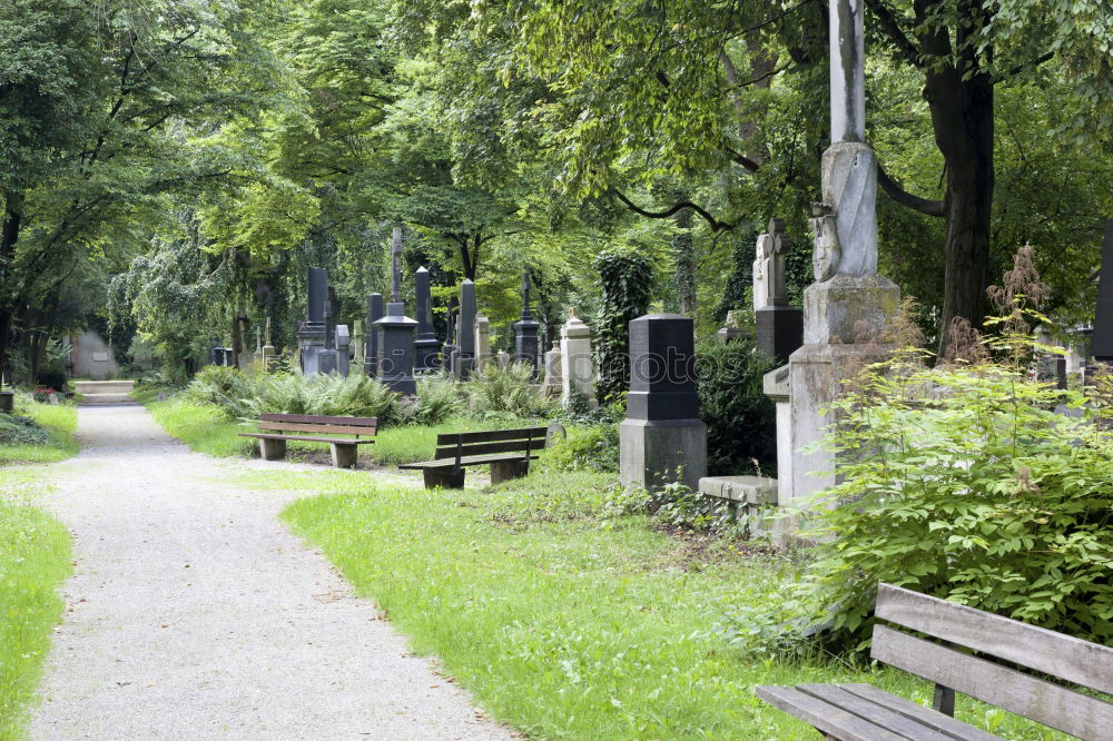 Similar – Image, Stock Photo green watering can at the cemetery