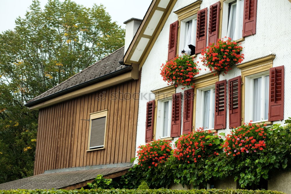 Similar – Fischerhaus in Warnemünde