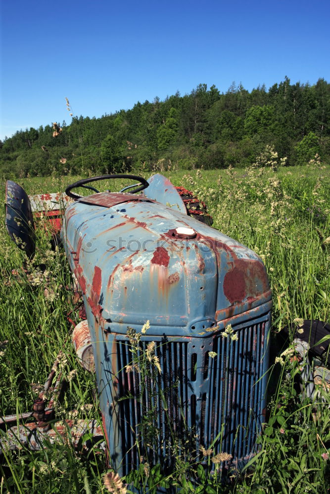 Similar – Image, Stock Photo Car cemetery 1 Environment