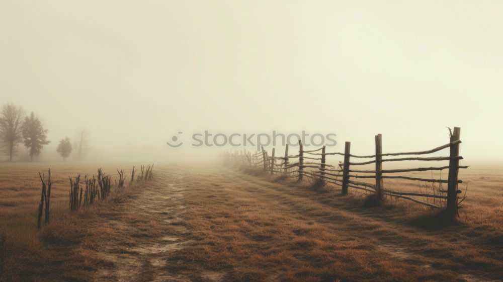 Similar – Image, Stock Photo fence without end Fence