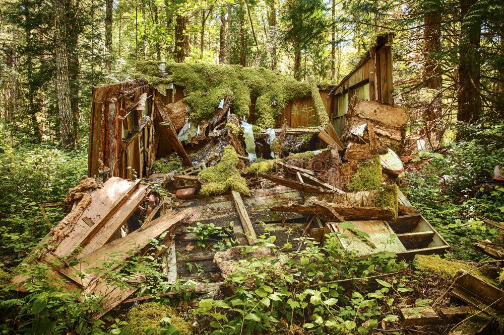 Similar – Image, Stock Photo Car cemetery 1 Environment