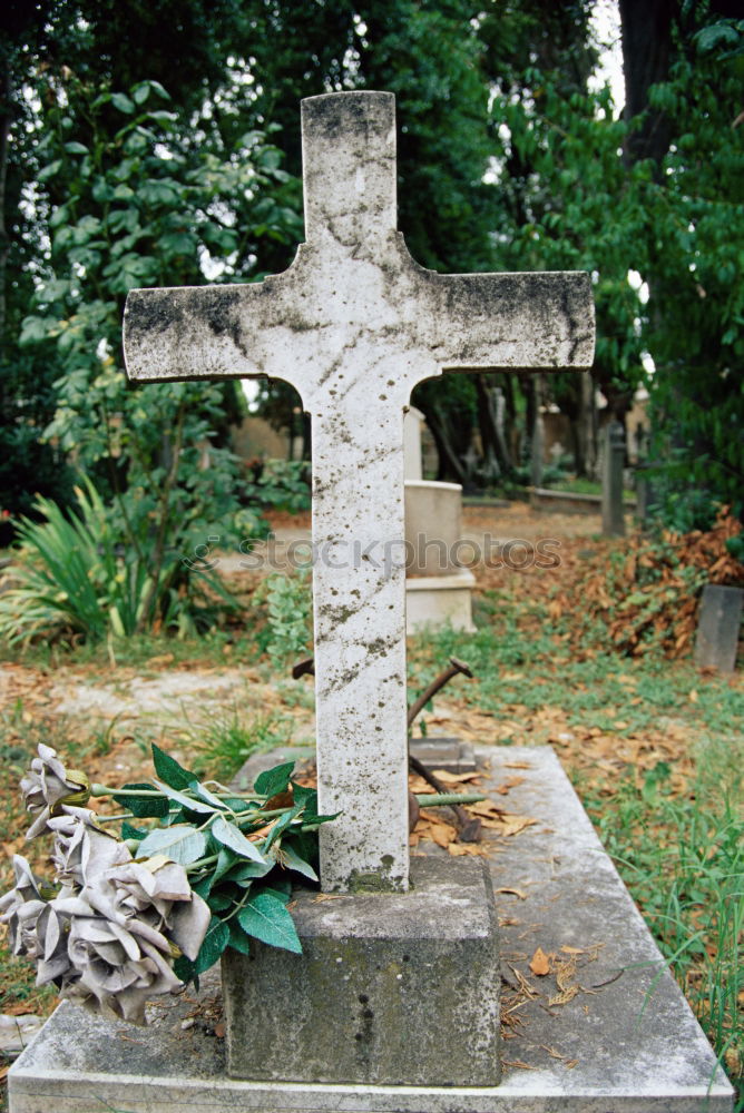 Similar – An old quiet graveyard in Macao, China