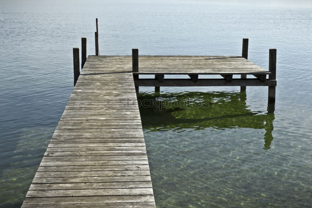 Similar – am See Steg Holz Möwe