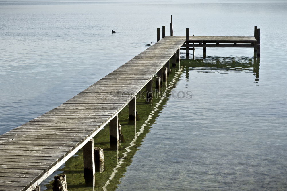 Similar – am See Steg Holz Möwe