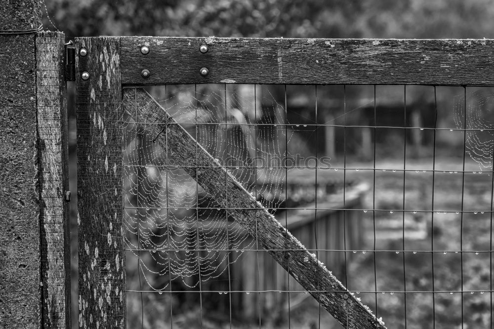 Similar – Image, Stock Photo Gate to the Cold Home