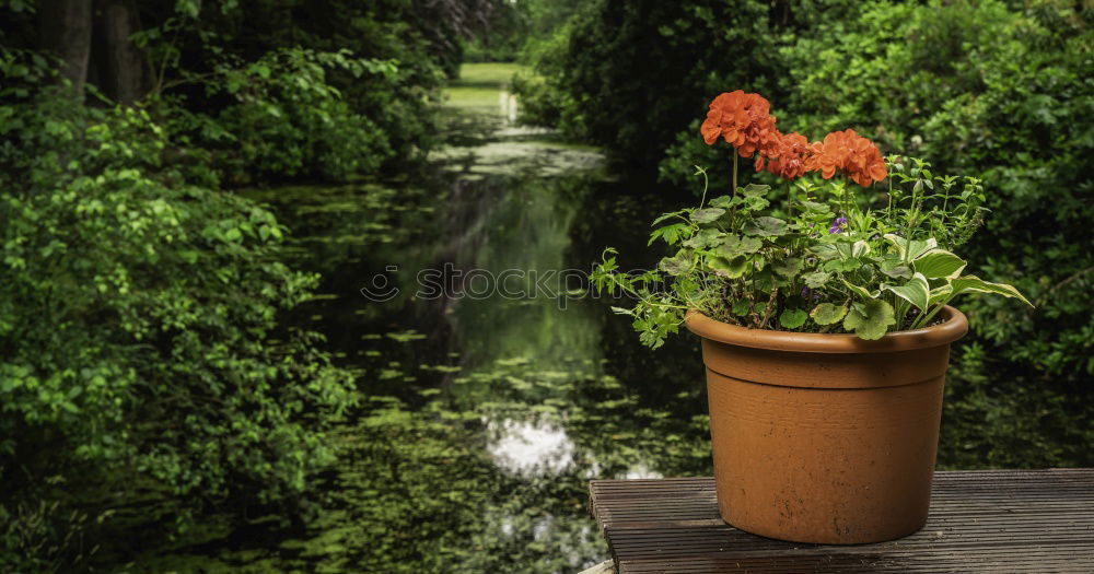 Im Brunnen Umwelt Natur