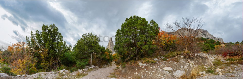 Similar – Foto Bild Sturm kommt auf Haus Baum