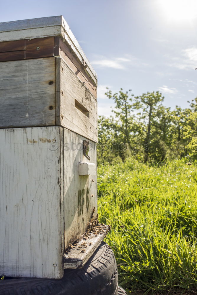 Similar – outback Mailbox Outback