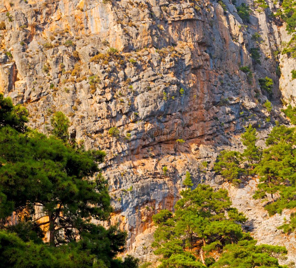 Similar – A detail of a cliff with a waterfall framed by the leaves of some trees