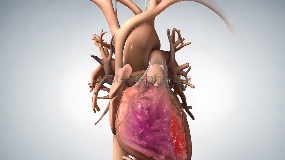 Similar – Image, Stock Photo #AS# Love from the heart