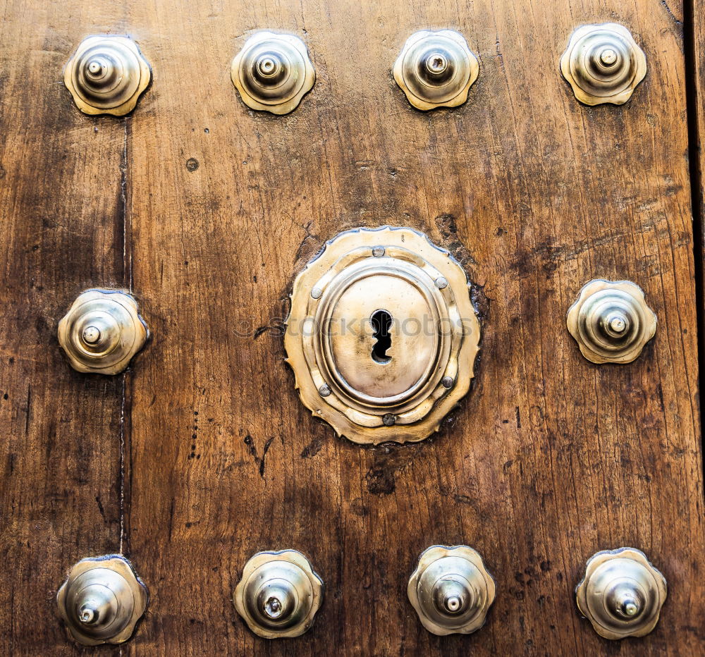 Antique Wooden Door with metal decoration. Texture background