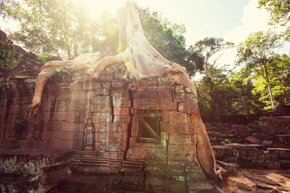 Similar – Tomb Raider Temple, Cambodia