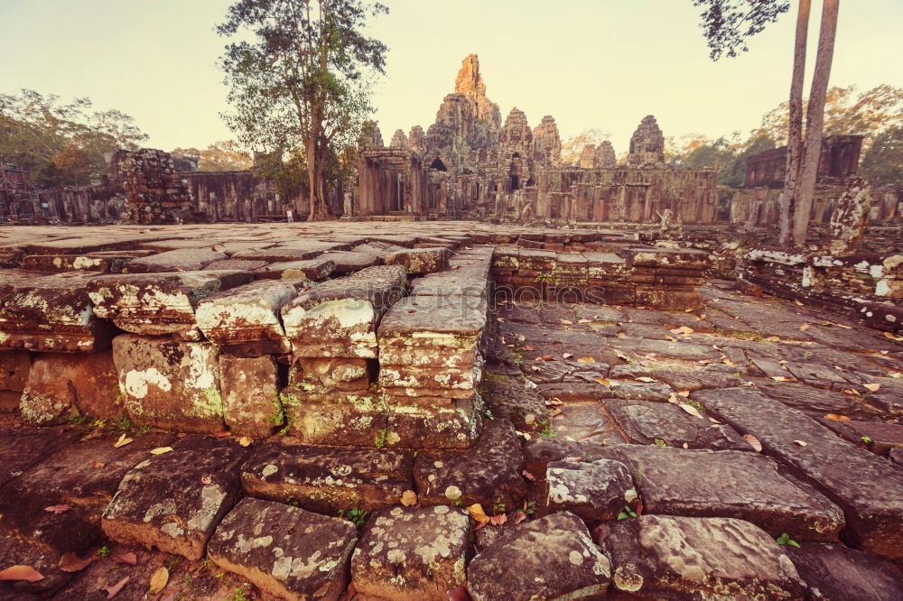 Similar – Tomb Raider Temple, Cambodia