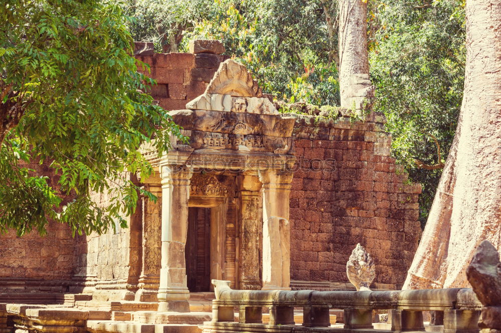 Similar – Tomb Raider Temple, Cambodia