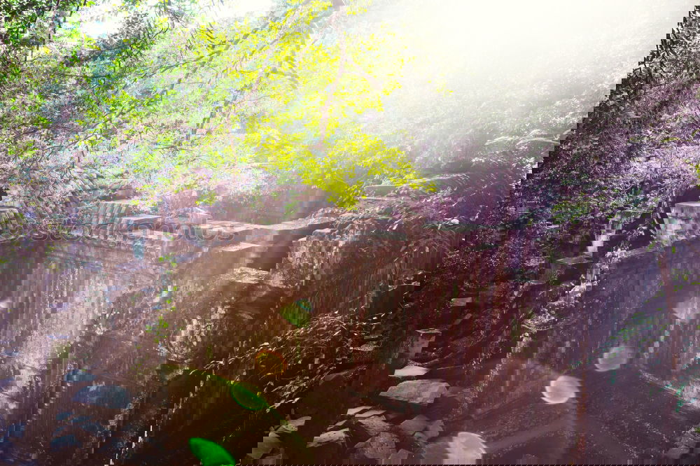 Similar – Image, Stock Photo Under the brigde [XIV]