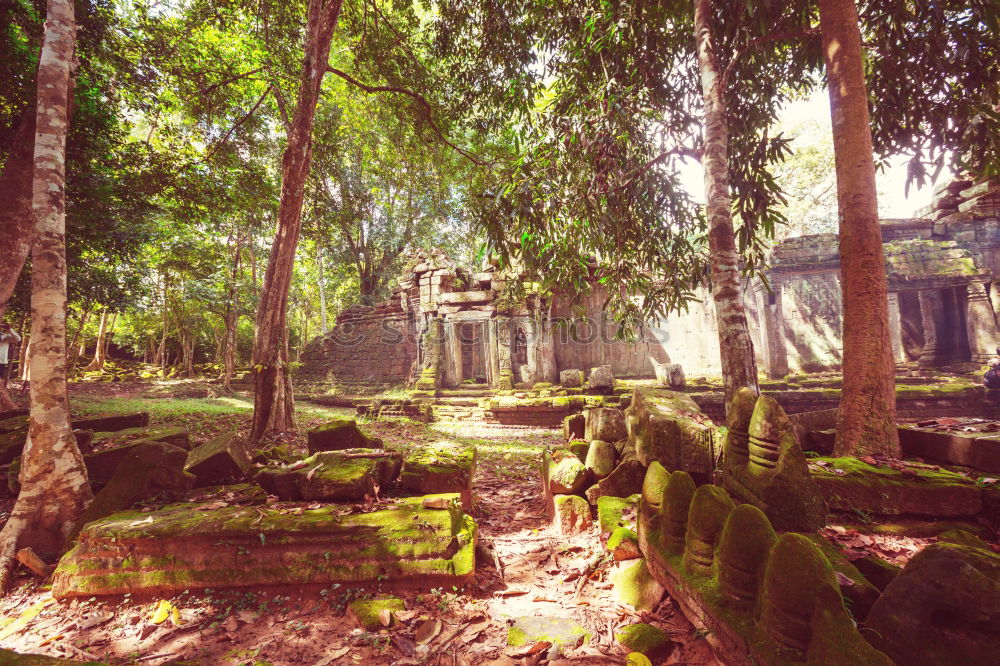 Similar – Tomb Raider Temple, Cambodia