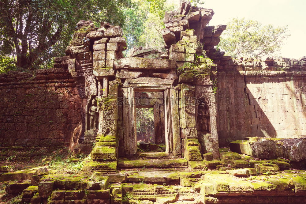 Tomb Raider Temple, Cambodia