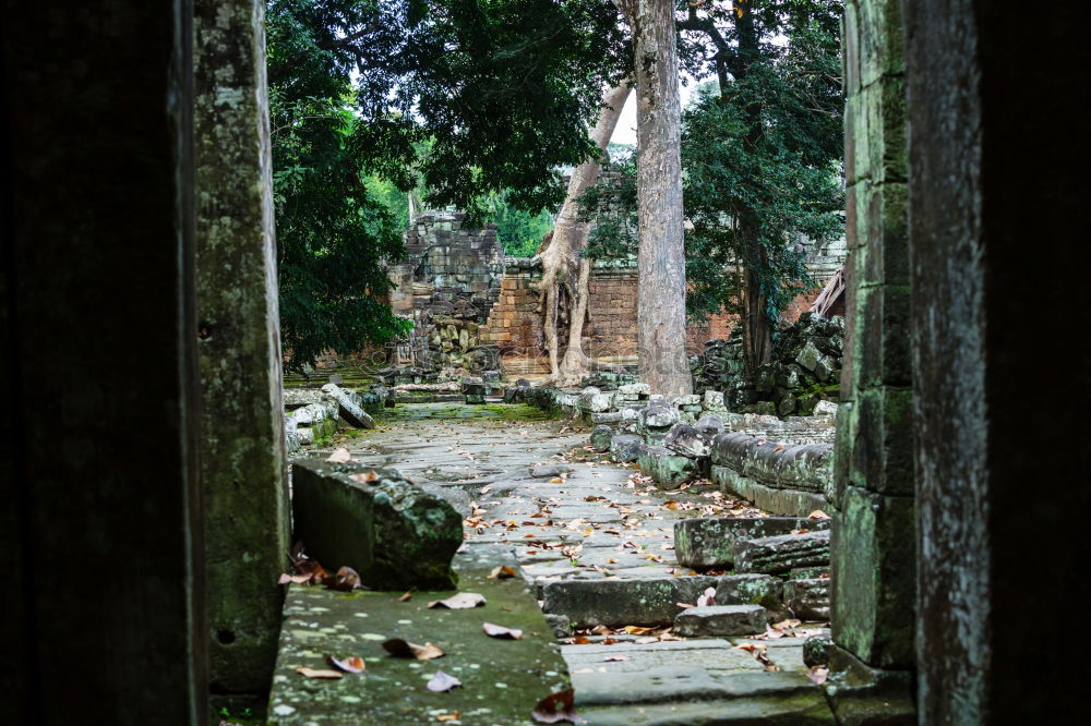 Similar – Image, Stock Photo Wat Pha Lat Monastery