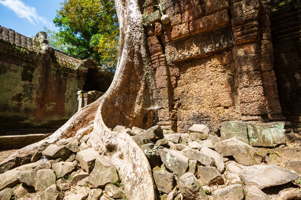 Similar – Image, Stock Photo Angkor Thom Temple view, Siem reap, Cambodia