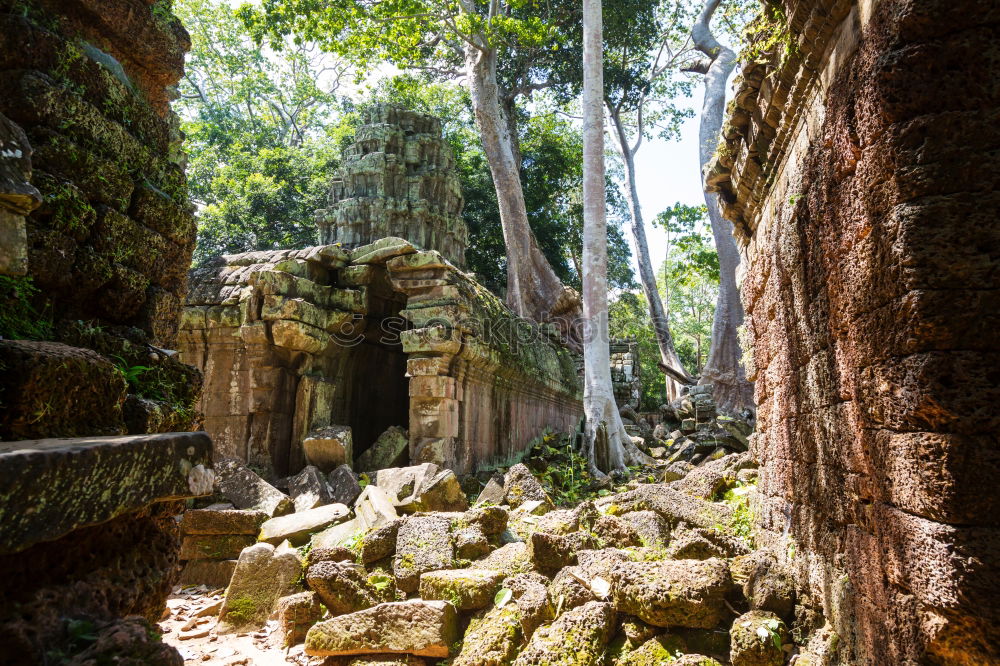 Similar – Image, Stock Photo Angkor Thom Temple view, Siem reap, Cambodia