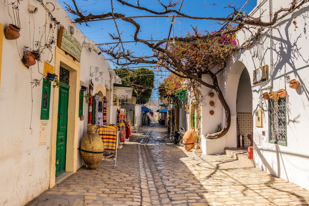 Similar – Image, Stock Photo Rural streets in Cadaques, Spain