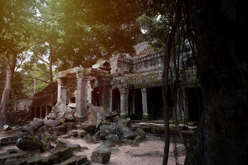 Similar – Tomb Raider Temple, Cambodia