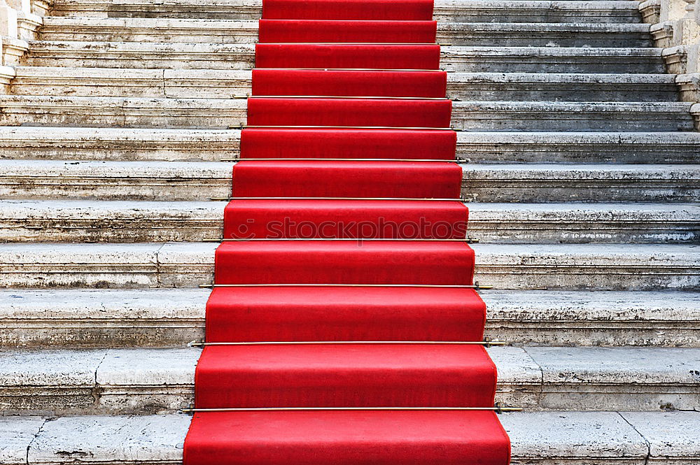 Red carpet II Luxury