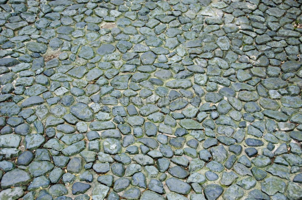 Similar – Dresden pavement Gully