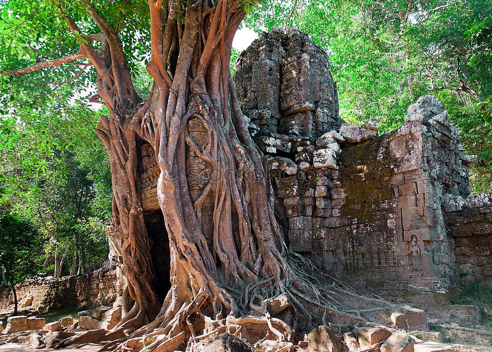 Similar – Image, Stock Photo Angkor Thom Temple view, Siem reap, Cambodia