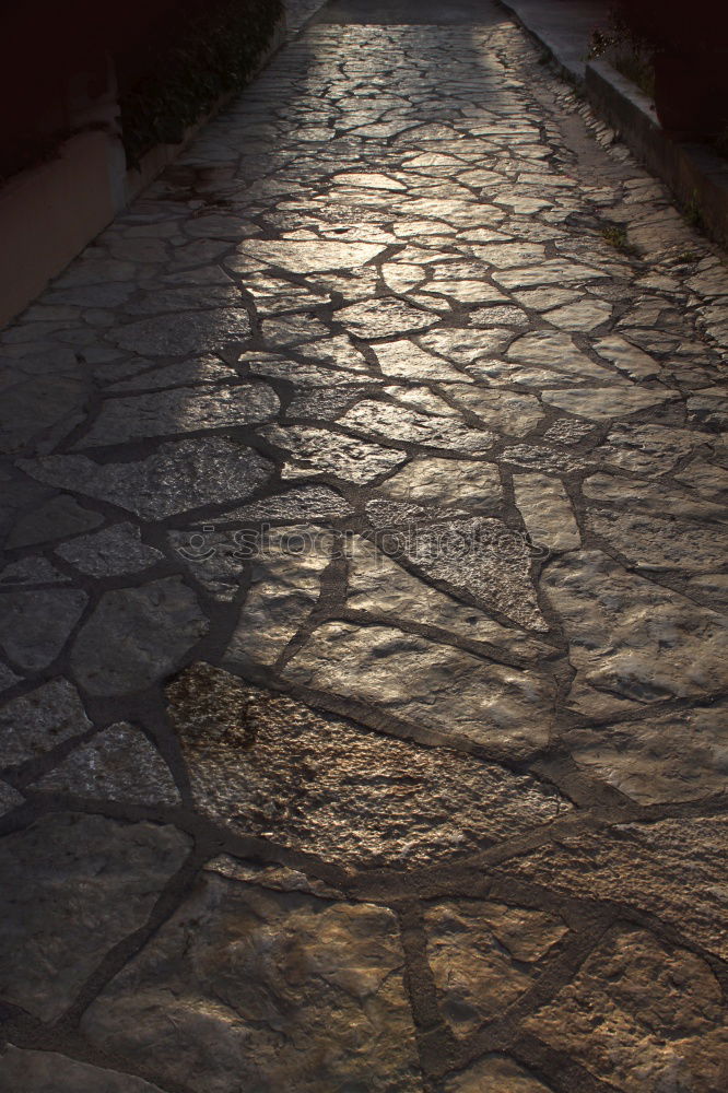 Similar – Image, Stock Photo racetrack Asphalt